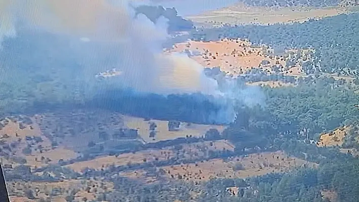 Ayvacık'ta orman yangını: Müdahale havadan ve karadan sürüyor