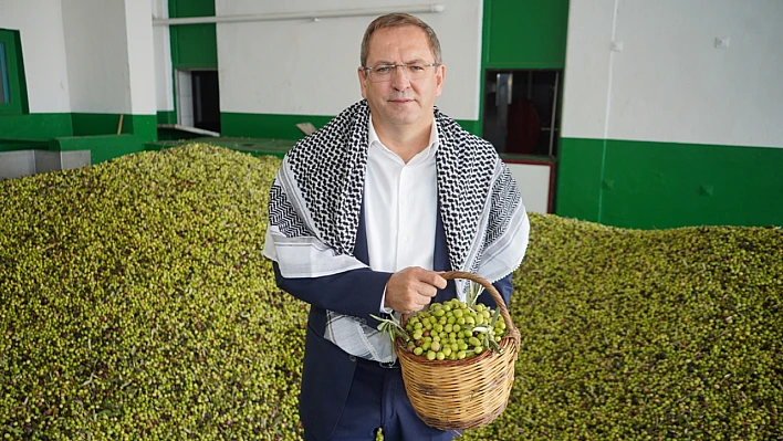 Ayvalık zeytin hasat festivali 20. Yılında turizme ve ekonomiye güç katıyor