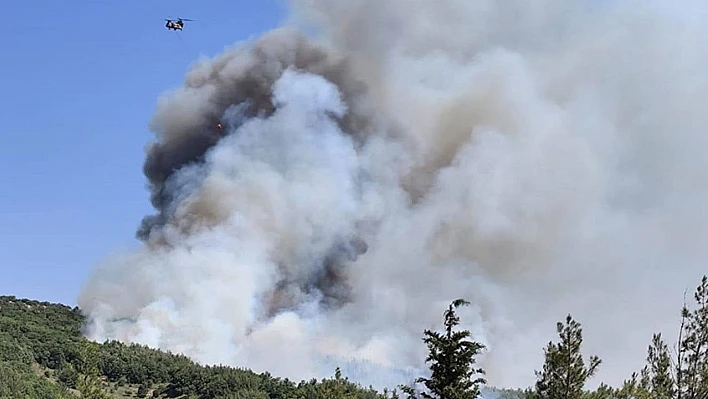 Balıkesir'de havadan müdahale yeniden başladı
