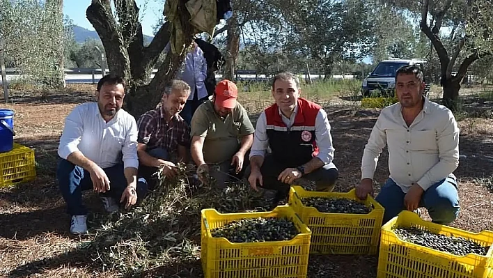 Bayındır'da Kaymakam Mete, esnaf ve zeytin üreticilerini ziyaret etti