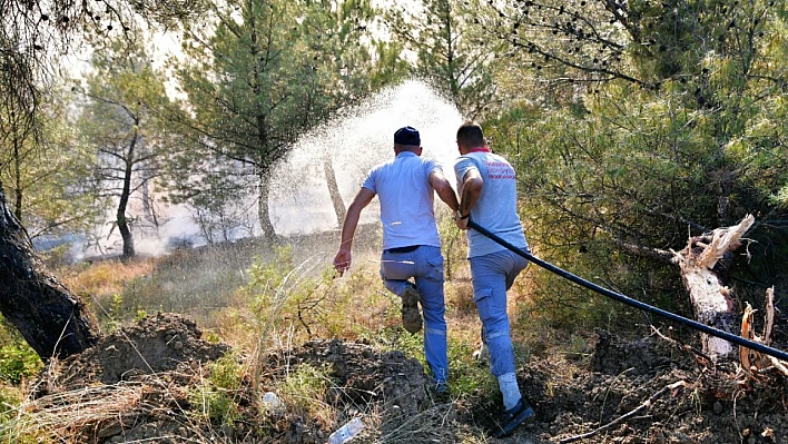 Bornova'da orman yangını: Başkan Eşki'den ilk açıklama geldi