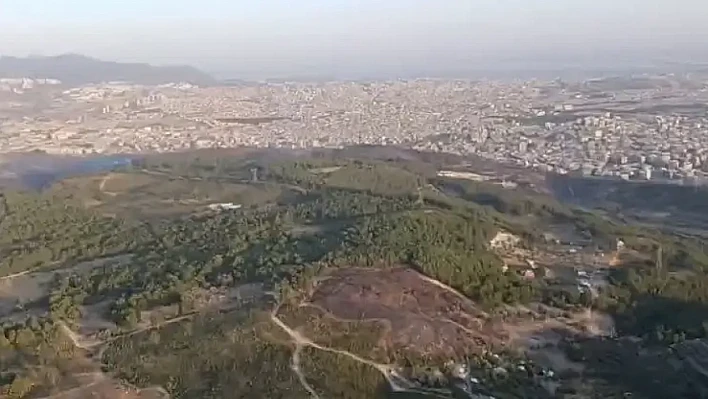 Buca'daki Orman Yangını Kontrol Altına Alındı: 3 Kişi Gözaltında