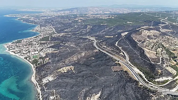 Çanakkale'de 8 Günde 4 Büyük Yangın: 5 Bin 236 Hektar Alan Kül Oldu