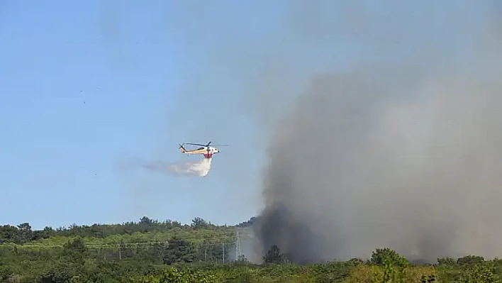 Çanakkale'de orman yangını yeniden başladı