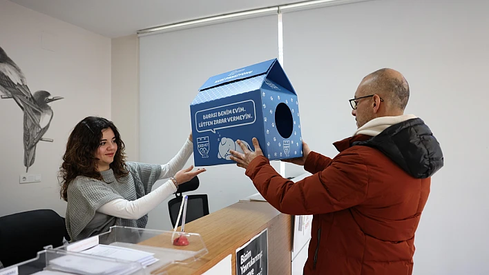 Çeşme Belediyesi'nden sokak kedilerine 500 yuva