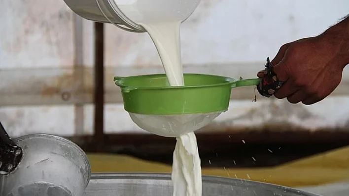 Çiğ Süt Hakkında Bilinmesi Gereken 5 Önemli Nokta!