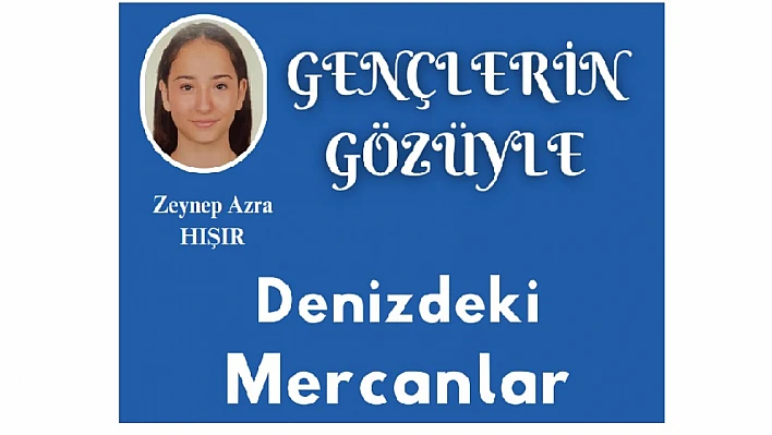 'Denizdeki Mercanlar'