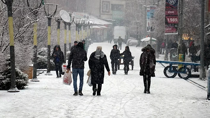 Doğu Anadolu'da soğuk hava, kar ve tipi etkili oluyor