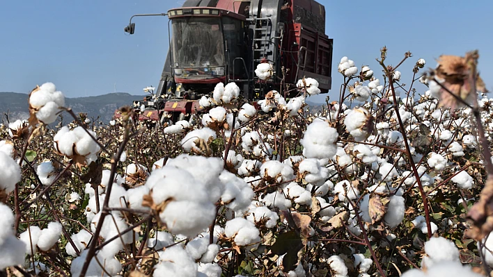Dünya pamuk gününde kritik mesaj: 'Pamuk stratejik bir üründür'