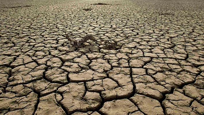 Dünyanın yüzde 77,6'sı çoraklaştı