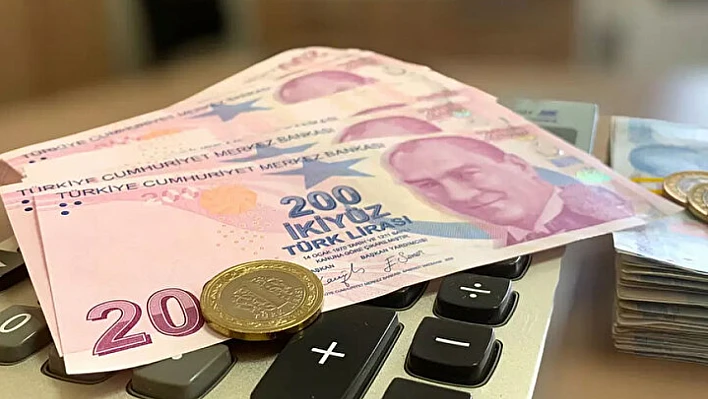 E-Bordro Yayımlandı mı? E-Bordro Sorgulama Ekranı Nasıl Kullanılır?