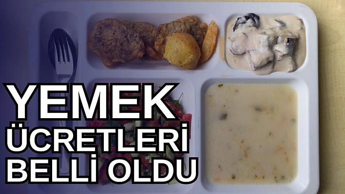 Günlük Yemek Ücreti Ne Kadar Oldu?