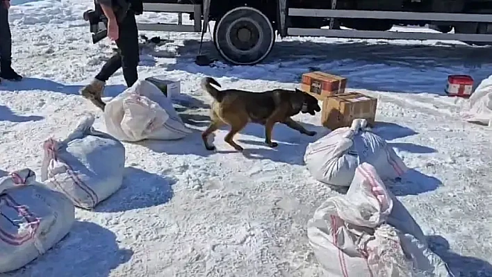 Hakkari'de kargo ile gönderilen 102 kilo uyuşturucu ele geçirildi!