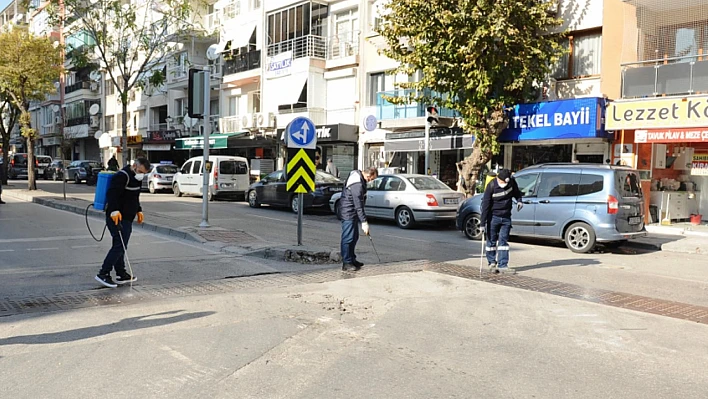 Haşere Sorunu İçin Yoğun Mücadele