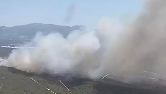 İzmir Buca Kaynaklar'da orman yangını çıktı