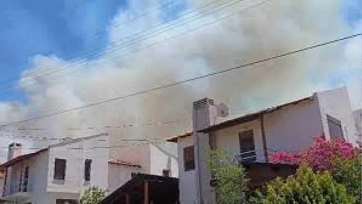 İzmir Çeşme'de orman yangını
