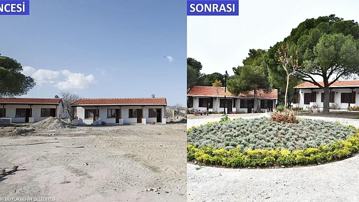 İzmir'de yeşil dönüşüm hız kazandı: Ağaçlandırma seferberliği kentin her noktasında sürüyor