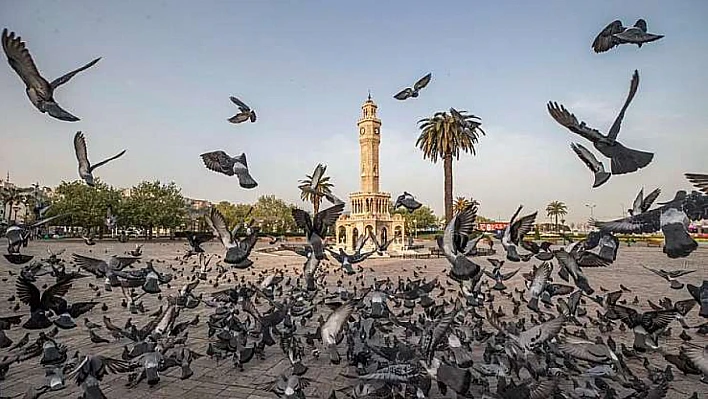 İzmir'den Türkiye'de bir ilk: Yurttaşlar iklim politikalarında söz sahibi oluyor