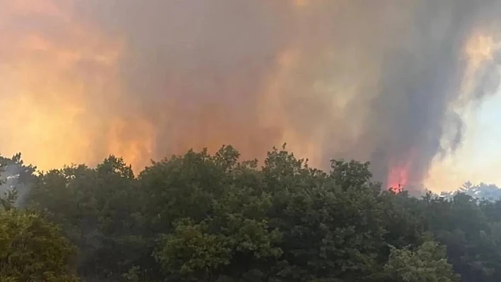 İzmir Dikili'de makilik alana sıçrayan yangın kontrol altına alındı