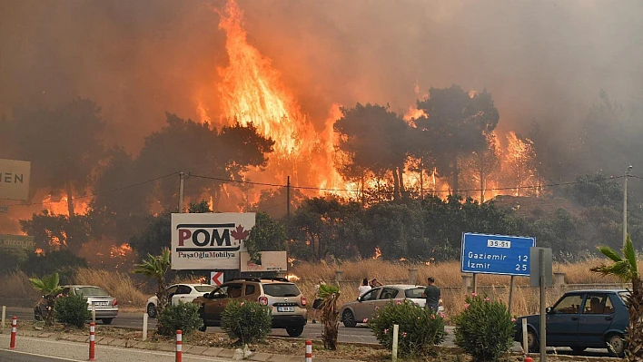 İzmir'in orman yangını risk haritası çıkarıldı
