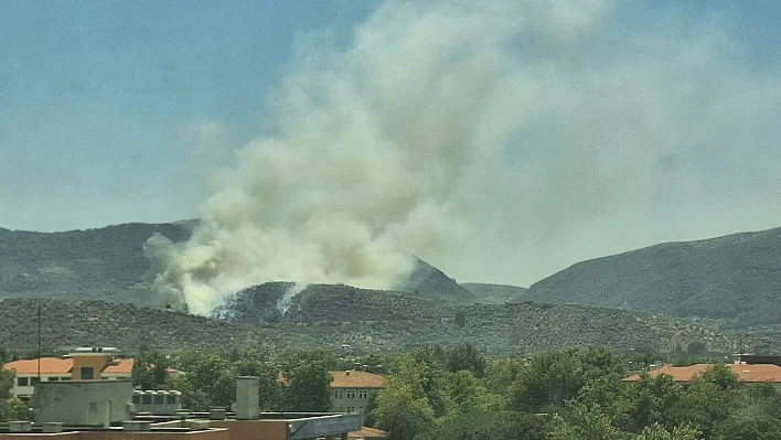 İzmir Selçuk'ta yangın paniği