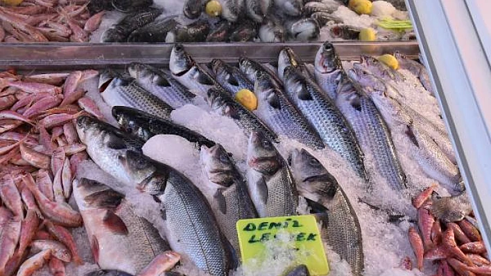 Karaburun'un meşhur topan kefali tezgahlarda