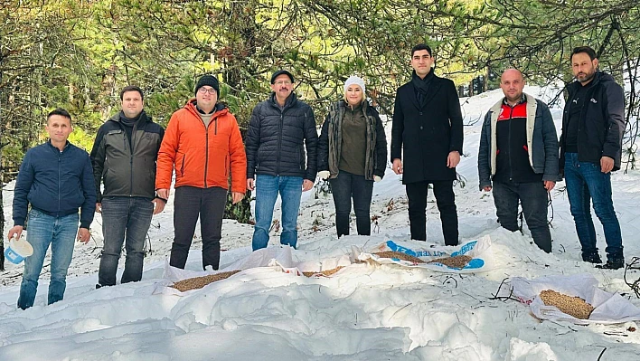 Kazdağları'nda Yaban Hayvanları İçin Yemleme Çalışması