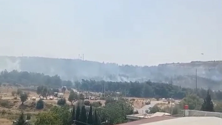 Kemalpaşa'da yangın ihbarı