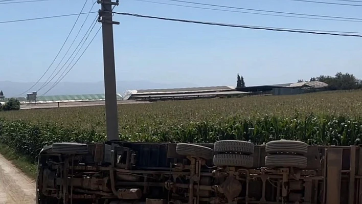Kiraz yolunda kamyon devrildi, Mısır silajı yola saçıldı