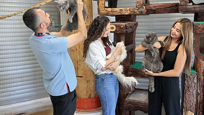 Konak'ın patili dostları ömürlük sıcak yuva arıyor