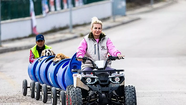 Köpek maması üzerinden sahte fatura: 18 milyon liralık vurgun