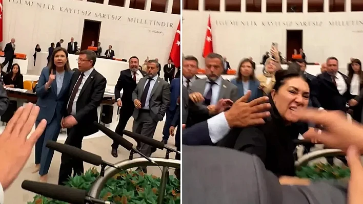 Meclis'te zeytinlik gerginliği: yasa teklifi kavga çıkardı!
