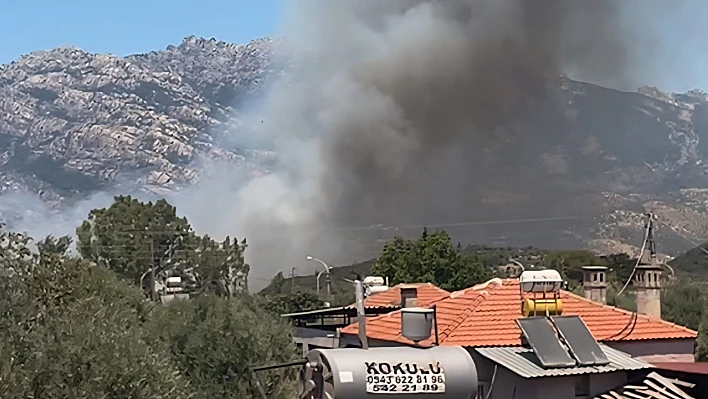 Milas Pınarcık'ta Makilik ve Zeytinlik alanda yangın çıktı