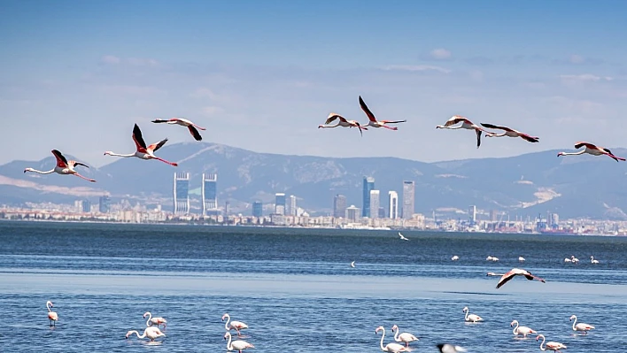 'Nasıl Bir İzmir?' panel serisi 'Birlikte Yaşamak' başlığıyla sona eriyor