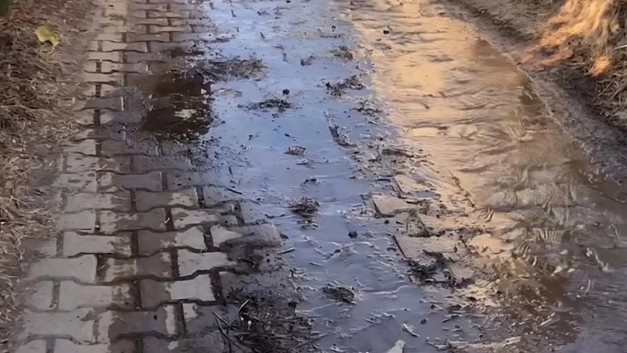 Ödemiş Çaylı'da su borusu dört gündür boşa akıyor