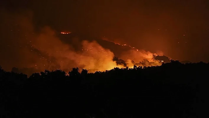 Ödemiş'te orman yangını elektrik tellerinden çıkan kıvılcımla başladı