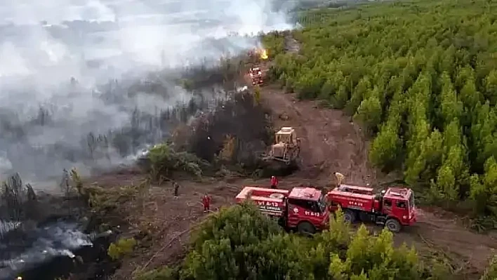 Osmaniye'de orman yangınına müdahale eden arazöz devrildi: 1 orman işçisi şehit
