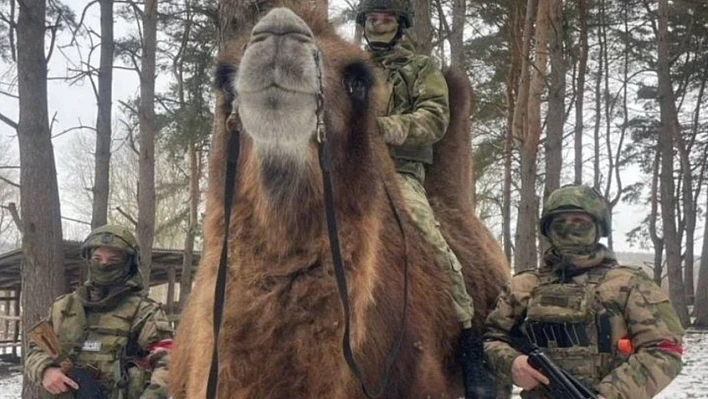 Rus ordusu cephaneliğine develeri ekledi