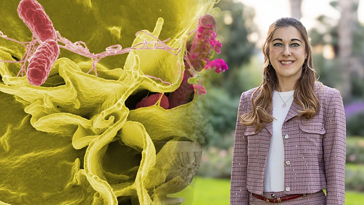 Salmonella Bakterisine Karşı Uyarı