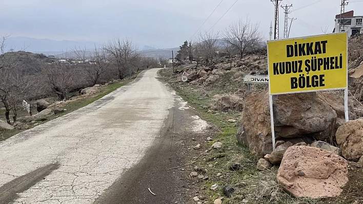 Şanlıurfa'da kuduz paniği: 2 mahalle karantinada