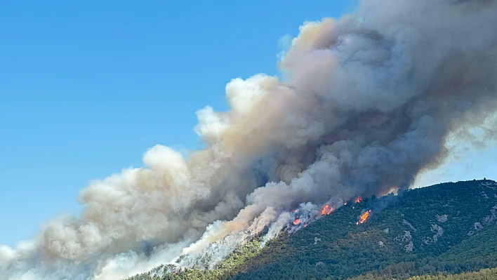 Soma'daki orman yangınıyla ilgili 2 kişi gözaltına alındı