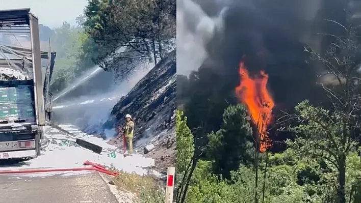 TIR yangını ormana sıçradı