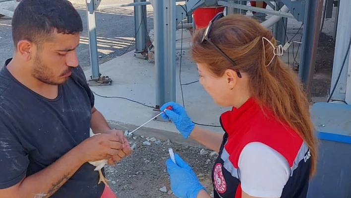 Tire'de kanatlı hayvan ve arıcılık denetimleri aralıksız sürüyor