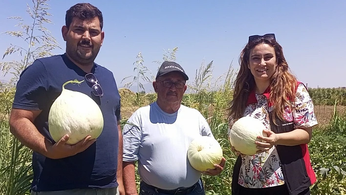 Tire'de ürün hasatlarına tarım müdürlüğü desteği