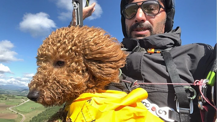 Toby isimli köpek paraşütle uçuş deneyimi yaşadı
