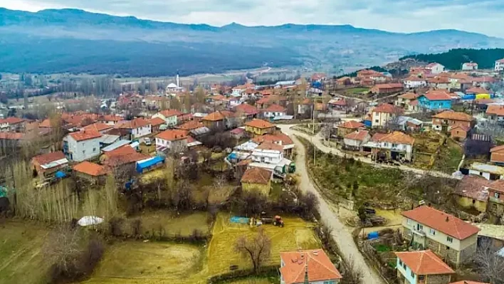 Türkiye'de 5 köyde sadece 1 kişi yaşıyor
