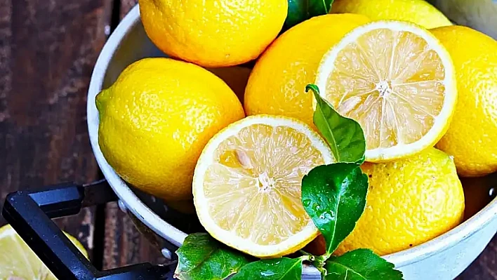 Türkiye'den Dubai'ye ihraç edilecek limonlarda pestisit çıktı