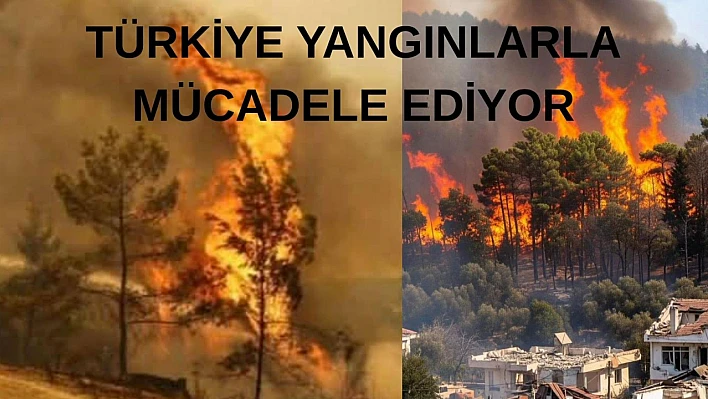Türkiye Yangınlarla Mücadele Ediyor: İzmir, Kütahya ve Bursa Alevlere Teslim