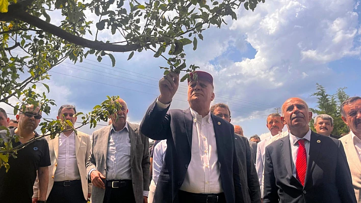 TZOB DOLU AFETİNİ GÜNDEMDE TUTUYOR