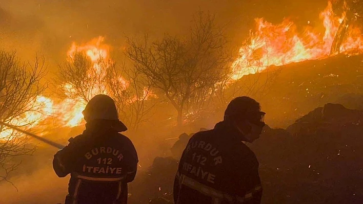 Yamanlar Dağı yangınının arkasında tarihi eser kaçakçılığı iddiası